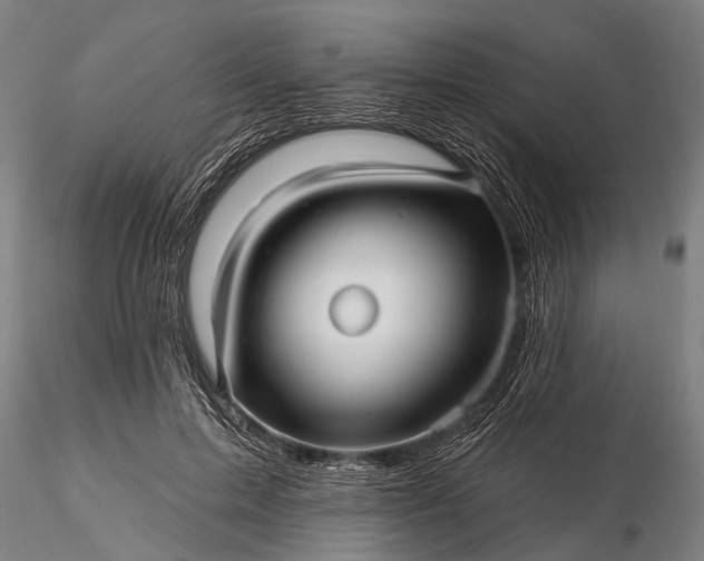 X0000116300599200912141337