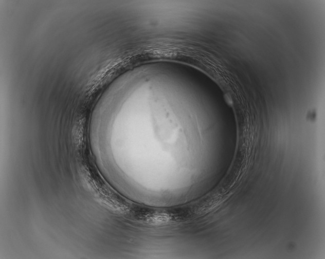 X0000116300600200912141337