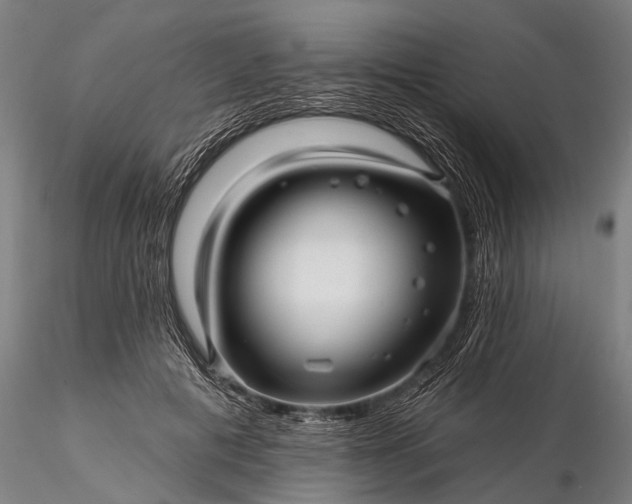 X0000116300601200912141337