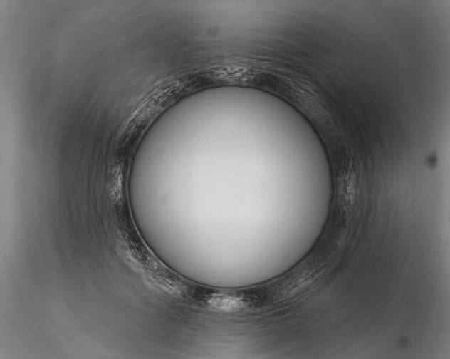 X0000116300602200912141337