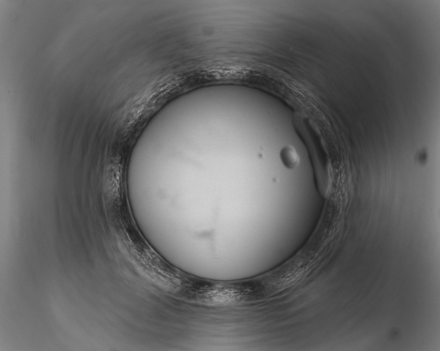 X0000116300604200912141337