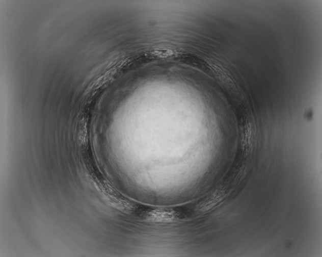 X0000116300606200912141336