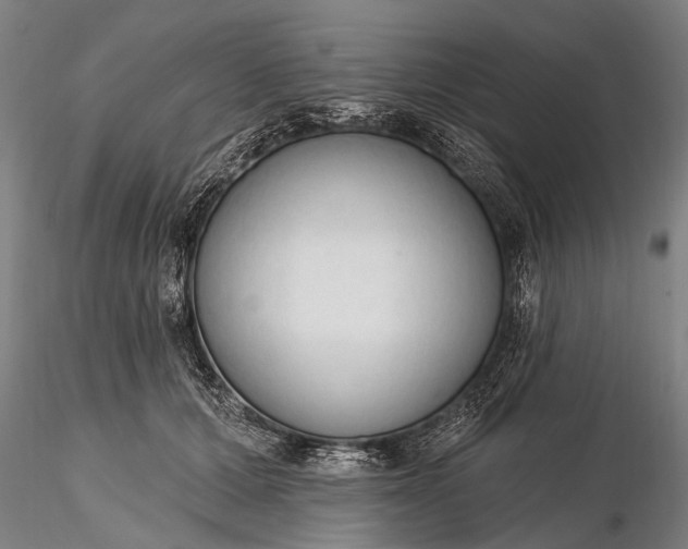 X0000116300607200912141336