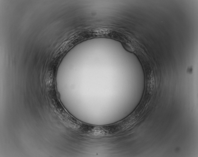 X0000116300608200912141336