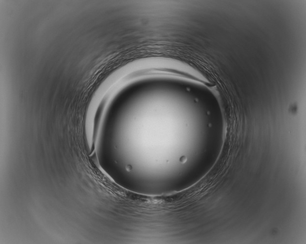 X0000116300609200912141336