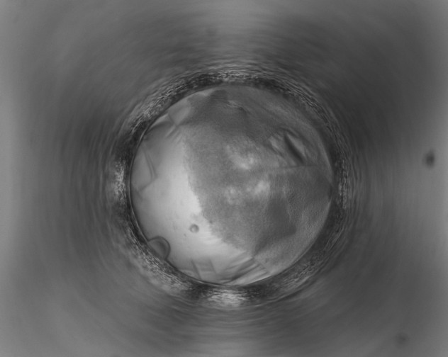 X0000116300610200912141336