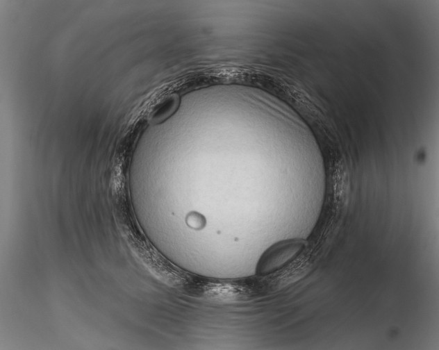 X0000116300611200912141336