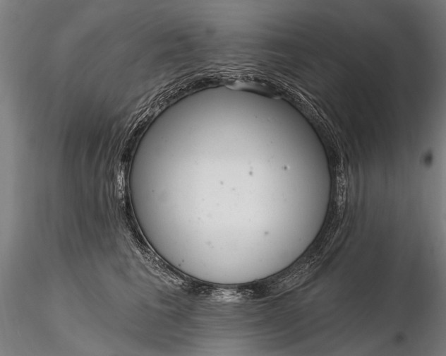 X0000116300613200912141336