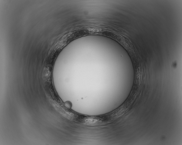 X0000116300614200912141336