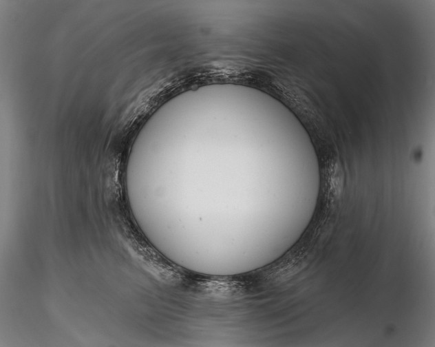 X0000116300615200912141336