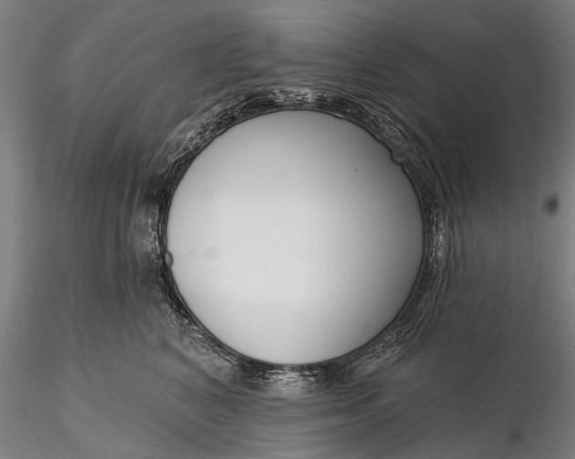 X0000116300616200912141336