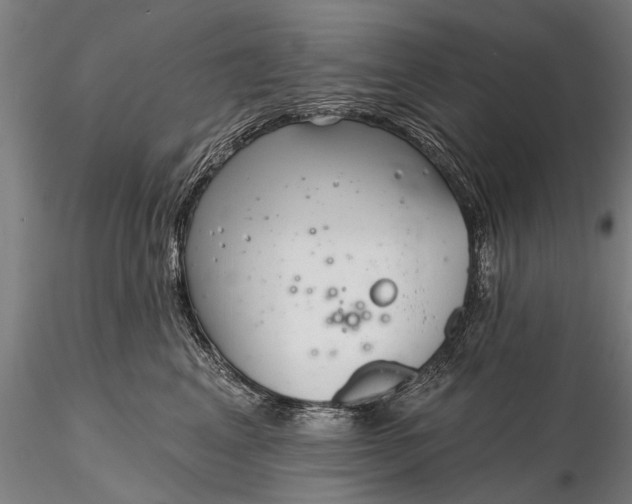 X0000116300617200912141336