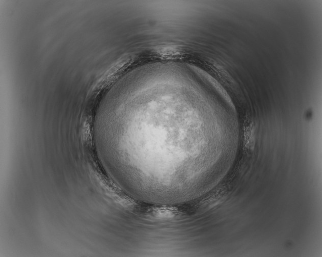 X0000116300618200912141336