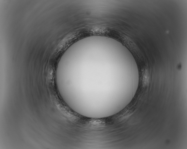 X0000116300619200912141336