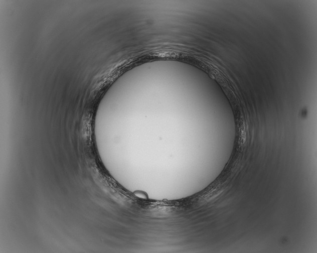 X0000116300620200912141336