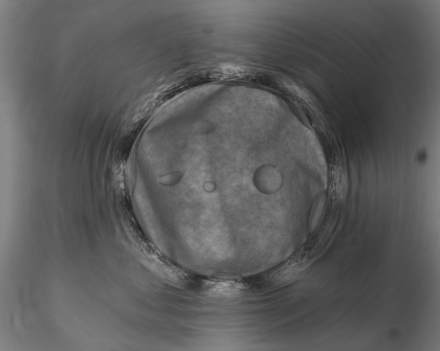 X0000116300621200912141336