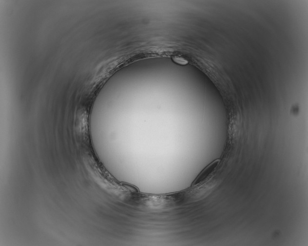 X0000116300623200912141336