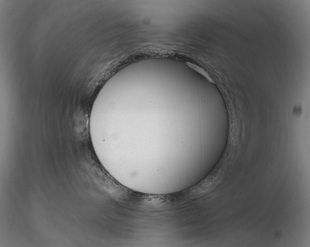 X0000116300624200912141336