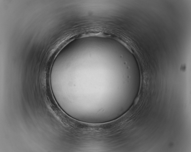 X0000116300626200912141335