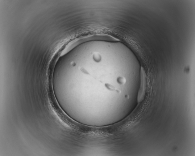 X0000116300630200912141336