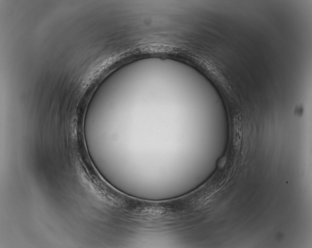 X0000116300631200912141336