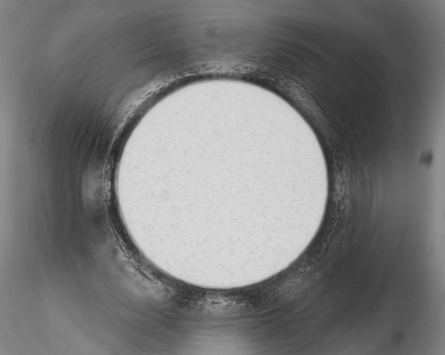 X0000116300632200912141336