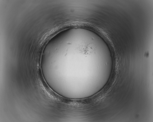 X0000116300633200912141336