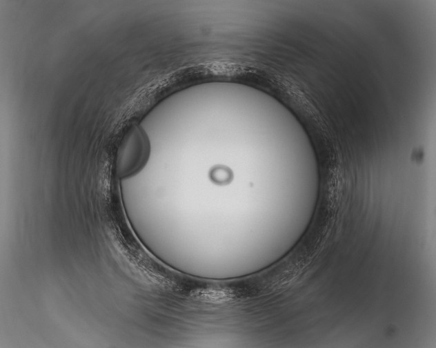 X0000116300639200912141336