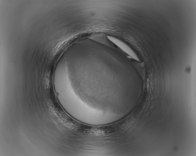 X0000116300640200912141336