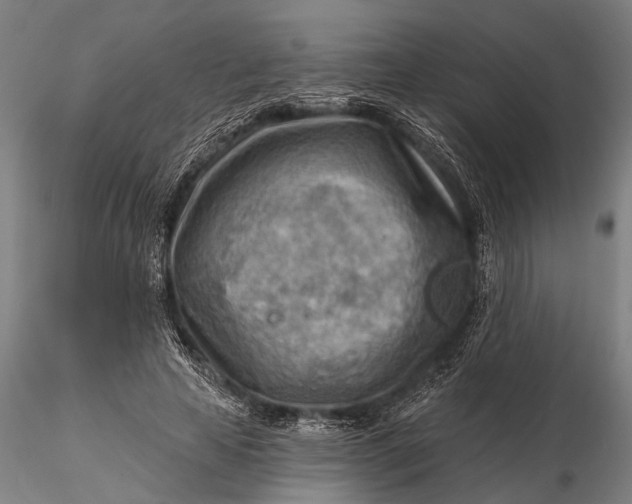 X0000116300641200912141336