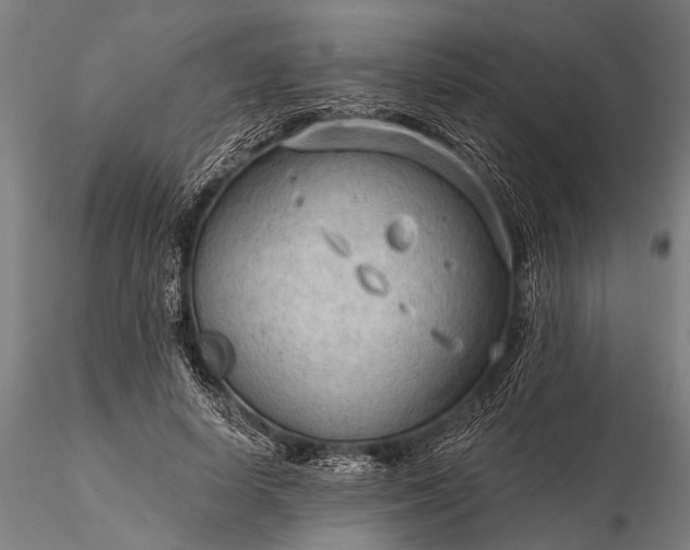 X0000116300642200912141336