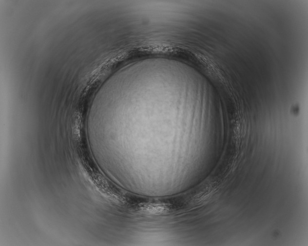 X0000116300643200912141336