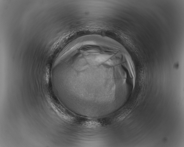 X0000116300644200912141336