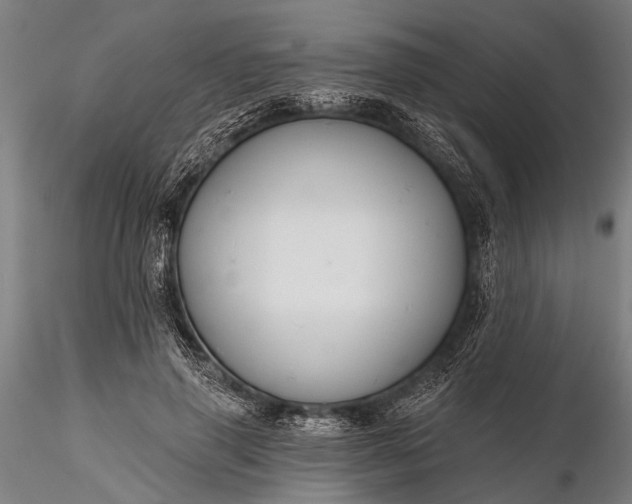 X0000116300645200912141336