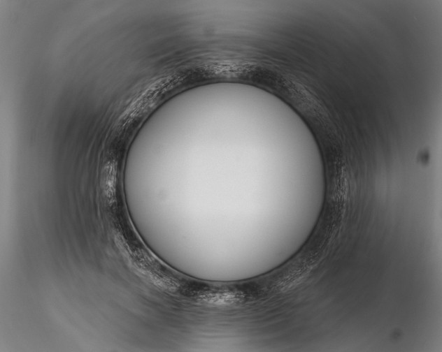 X0000116300646200912141336