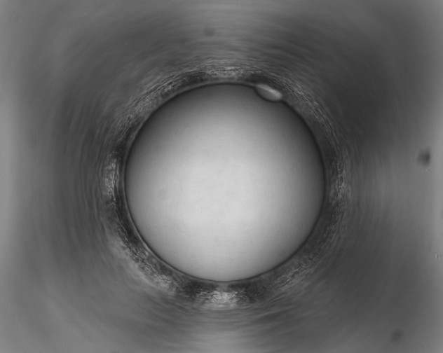 X0000116300647200912141336