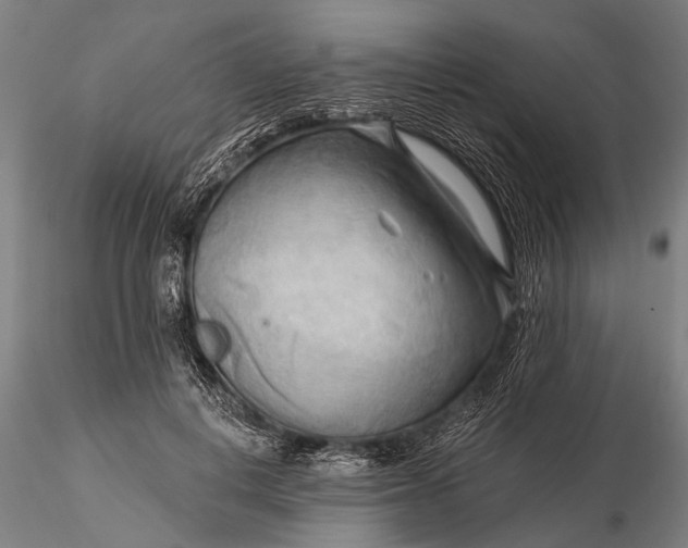 X0000116300648200912141336