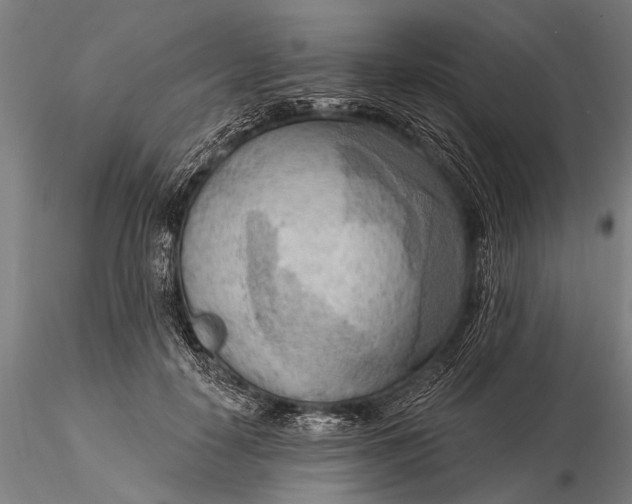 X0000116300650200912141336