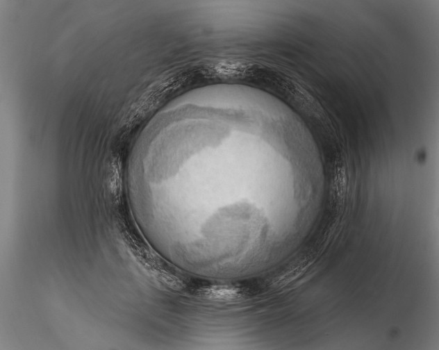 X0000116300651200912141336