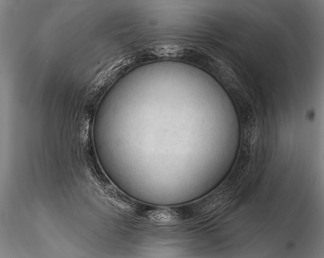 X0000116300652200912141336