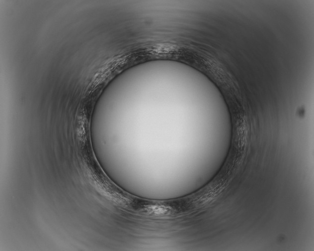 X0000116300654200912141336