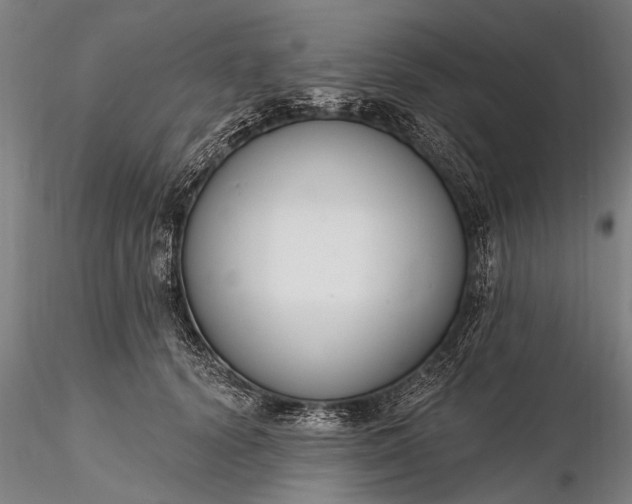 X0000116300656200912141336