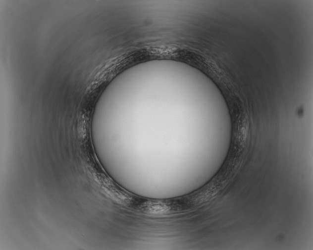 X0000116300658200912141336