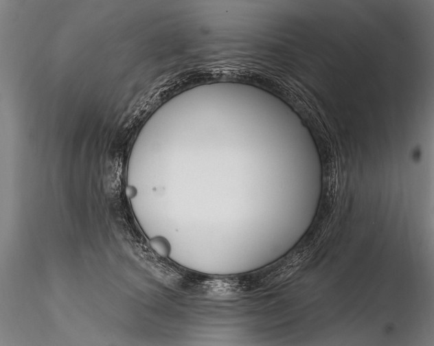 X0000116300660200912141336