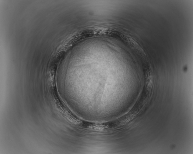 X0000116300661200912141336