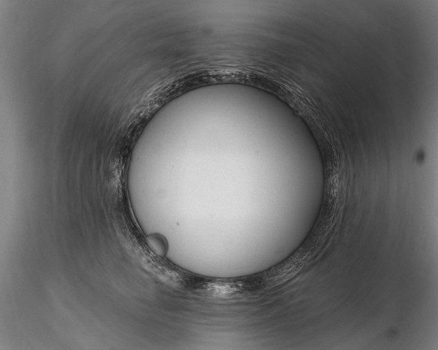 X0000116300662200912141336