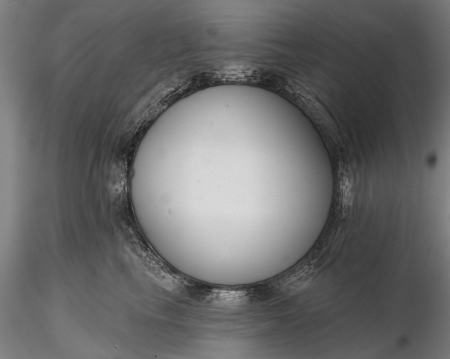 X0000116300665200912141336