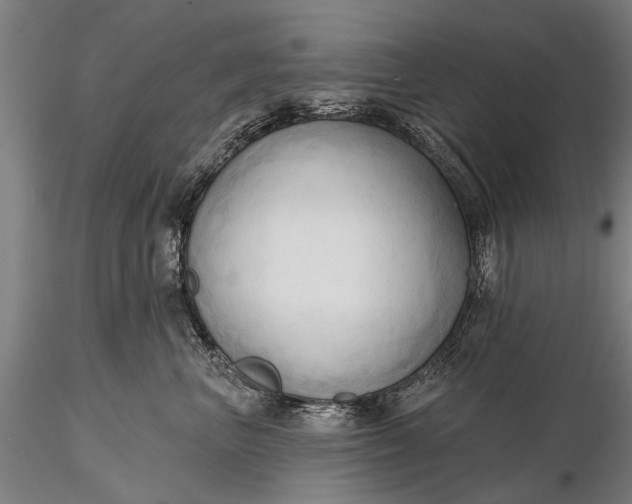 X0000116300667200912141336