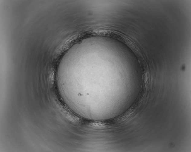 X0000116300668200912141336