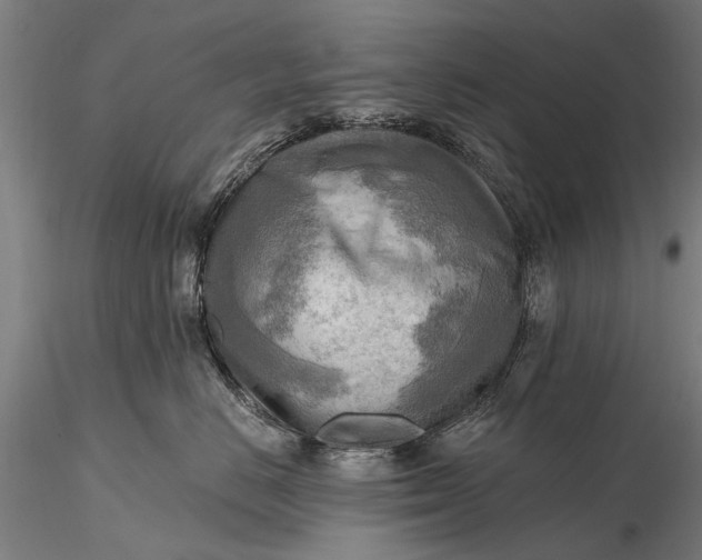 X0000116300670200912141336